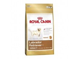Bhn labrador retrev ad 12+2kg+p4 Imagen del producto Bhn labrador retrev ad 12+2kg+p4