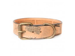 Imagen del producto Petuky Collar antiparasitario diseño london l 32x45x2.5