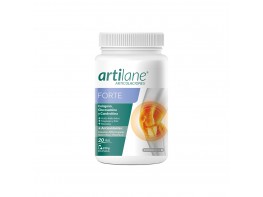 Artilane forte polvo 220 gr Imagen del producto Artilane forte polvo 220 gr