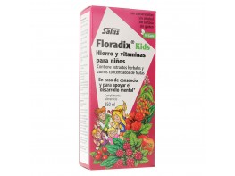 Floradix kids 250ml Imagen del producto Floradix kids 250ml