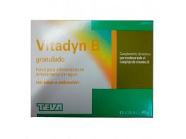 Vitadyn B granulado 40 sticks Imagen del producto Vitadyn B granulado 40 sticks