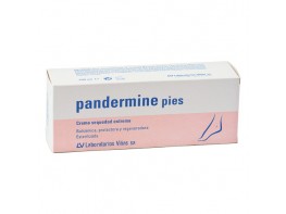 Pandermine pies crema 100ml Imagen del producto Pandermine pies crema 100ml