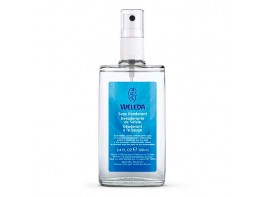 SALVIA DESODORANTE SPRAY 100ML WELEDA Imagen del producto SALVIA DESODORANTE SPRAY 100ML WELEDA