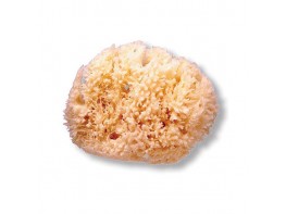 Suavinex Esponja natural grande Imagen del producto Suavinex Esponja natural grande