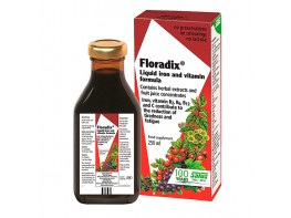 Floradix 250ml Imagen del producto Floradix 250ml