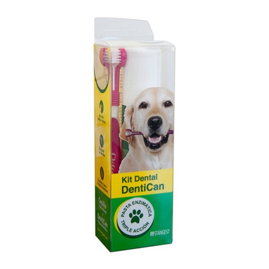 Stangest kit dental cepillo + pasta Imagen de Stangest kit dental cepillo + pasta