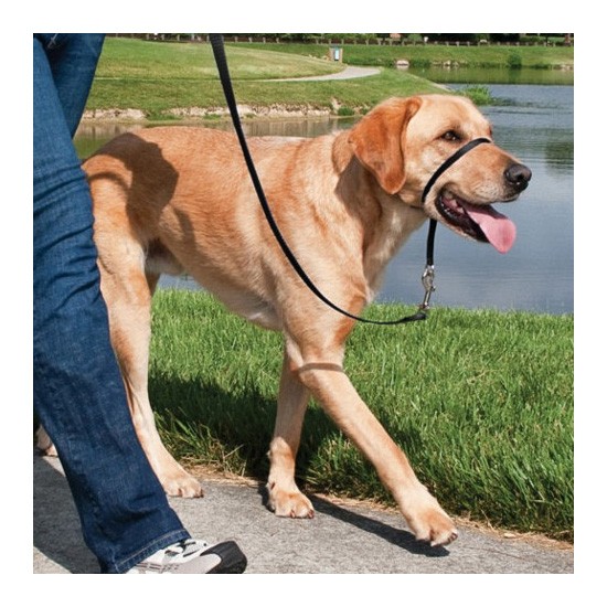Easy walk collar de manejo para perros negro mediano Imagen de Easy walk collar de manejo para perros negro mediano