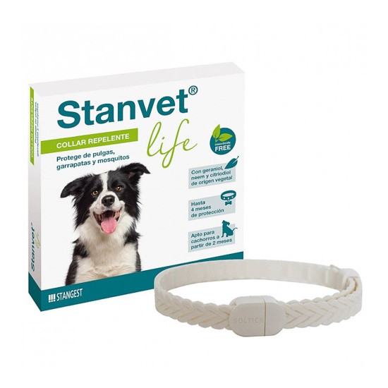 Stangest collar stanvest life perro Imagen de Stangest collar stanvest life perro