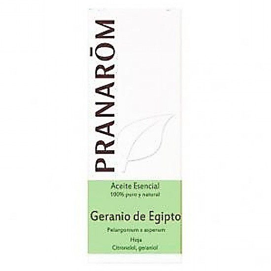 Pranarom aeqt top naturales geranio egipto 10ml Imagen de Pranarom aeqt top naturales geranio egipto 10ml
