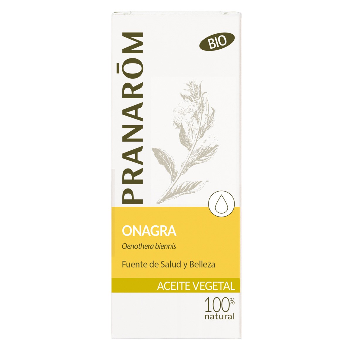 Pranarom Aceite Vegetal de Onagra Bio 50ml Imagen de Pranarom Aceite Vegetal de Onagra Bio 50ml