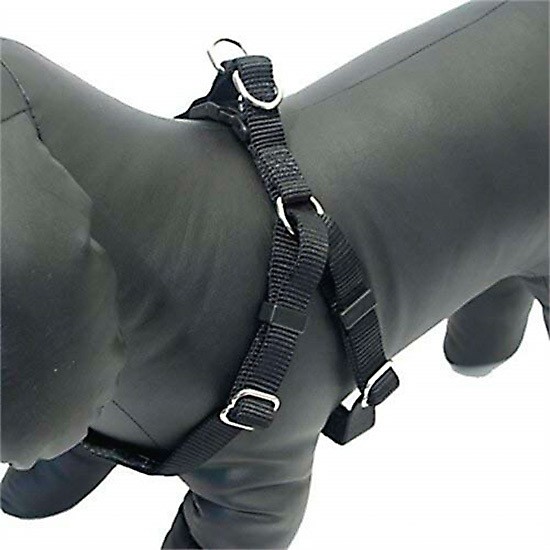 Rosewood arnes nylon neo negro talla S Imagen de Rosewood arnes nylon neo negro talla S