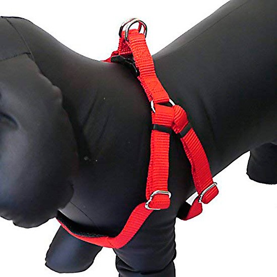 Rosewood arnes nylon neo rojo talla S Imagen de Rosewood arnes nylon neo rojo talla S