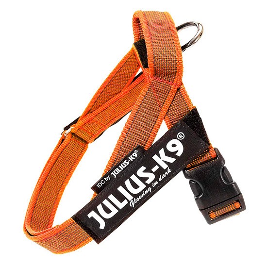 Julius-K9 Arnés IDC de cinta naranja Talla mini mini Imagen de Julius-K9 Arnés IDC de cinta naranja Talla mini mini