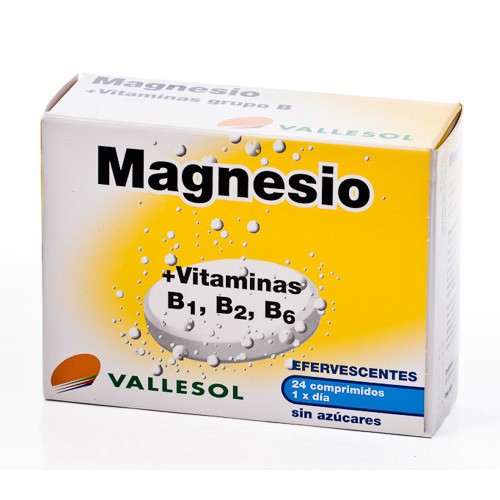 VALLESOL MAGNESIO 24 COMP. EFERVESCENTES Imagen de VALLESOL MAGNESIO 24 COMP. EFERVESCENTES