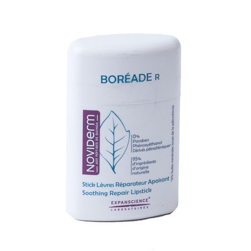 BOREADE R STICK REPARADOR 9,2 GRS. Imagen de BOREADE R STICK REPARADOR 9,2 GRS.