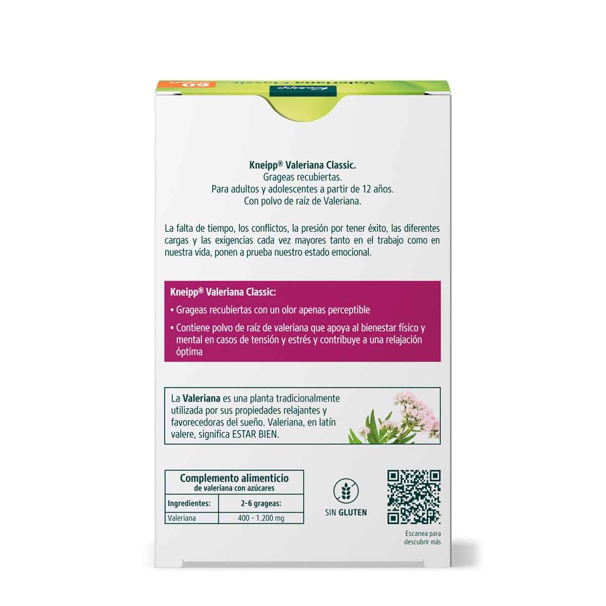 Imagen de Kneipp Valeriana Classic 200mg 60 grageas