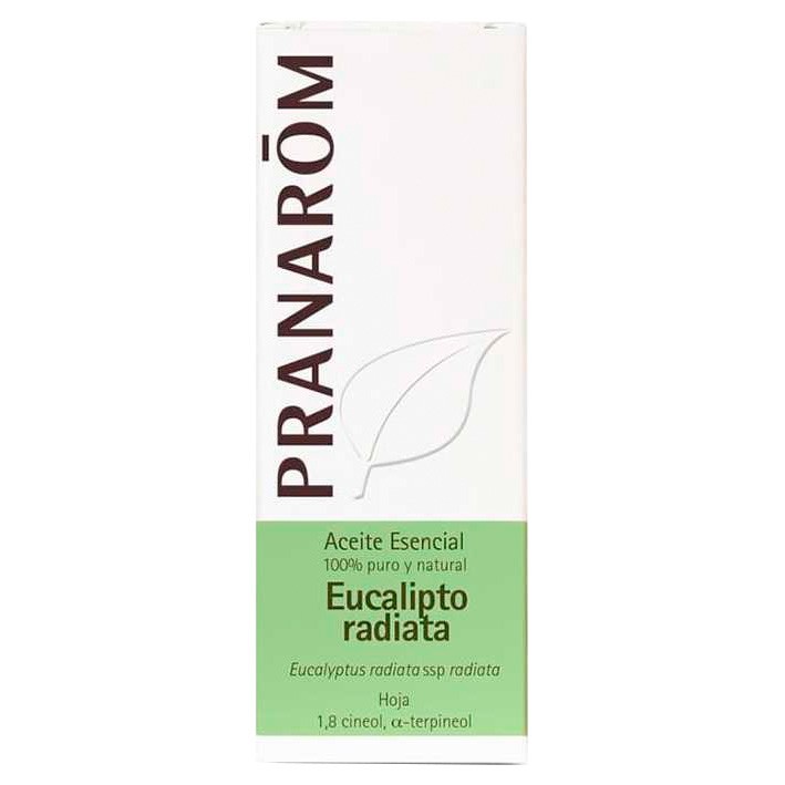 Aeqt top naturales eucalipto hoja 10 ml Imagen de Aeqt top naturales eucalipto hoja 10 ml