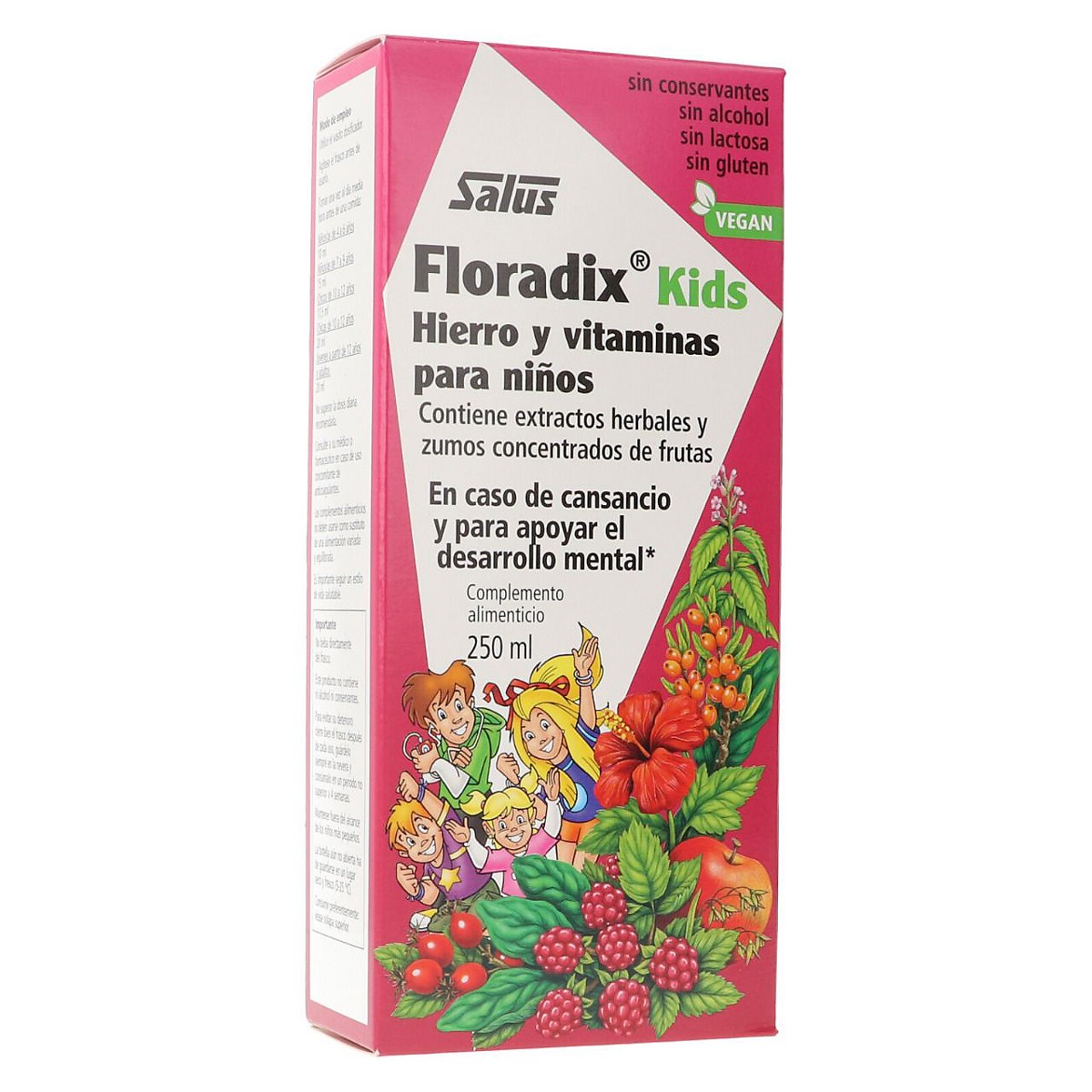 Floradix kids 250ml Imagen de Floradix kids 250ml