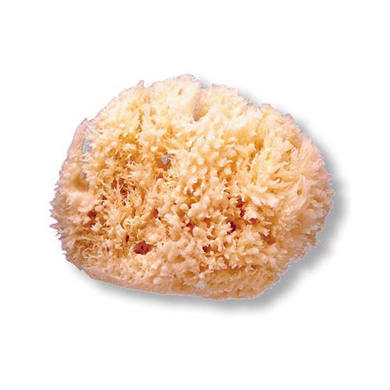 Suavinex Esponja natural grande Imagen de Suavinex Esponja natural grande