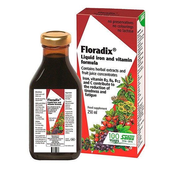 Floradix 250ml Imagen de Floradix 250ml